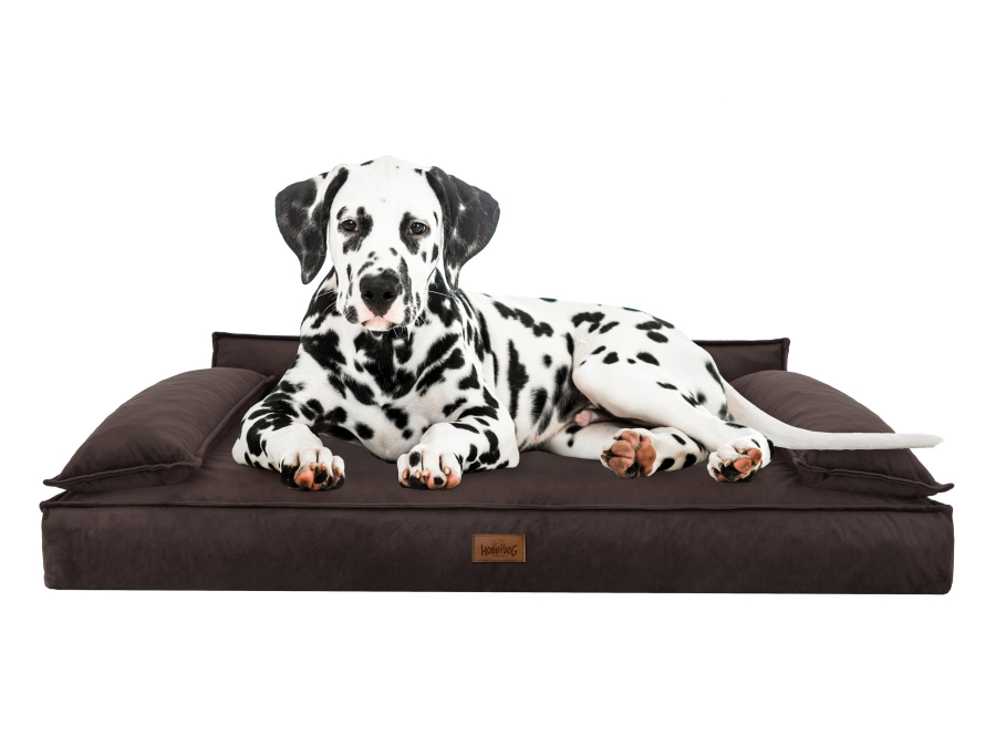 Hundebett 