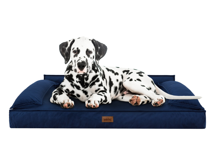 Hundebett 