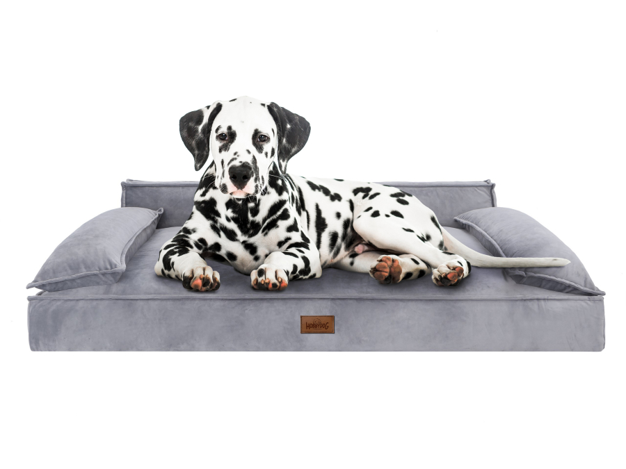 Hundebett 