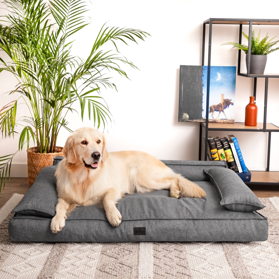 Hundebett 